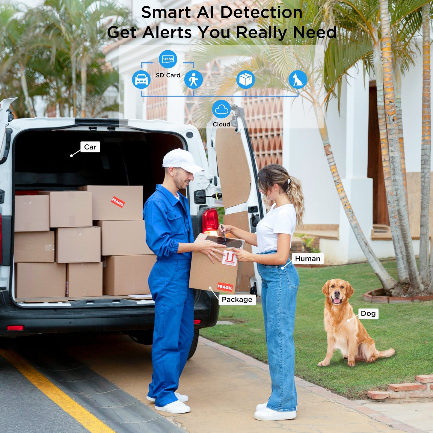 š„BOGOš„Foscam V8EP Smarten up Home Security with Accurate Alerts